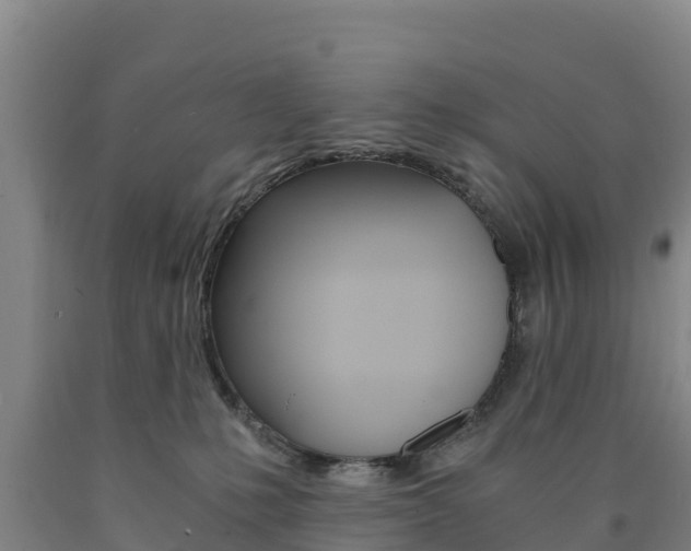 X0000090920231200707301100