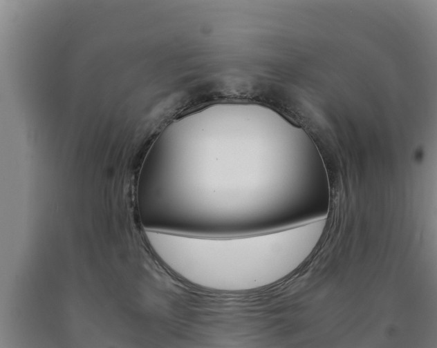 X0000090920233200707301100