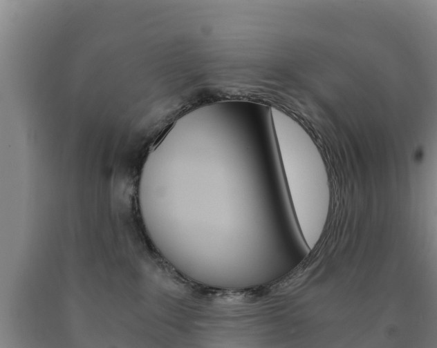 X0000090920235200707301100