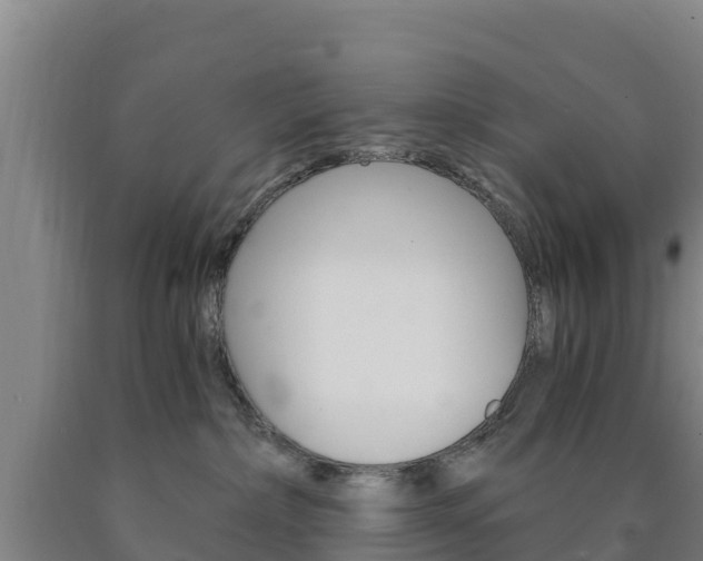 X0000090920236200707301100