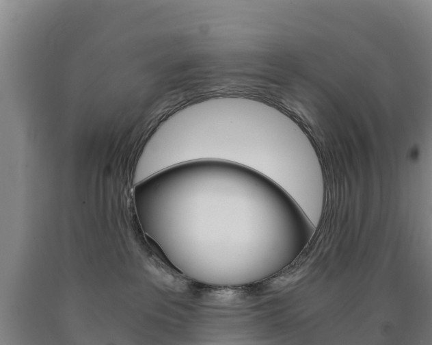 X0000090920237200707301100
