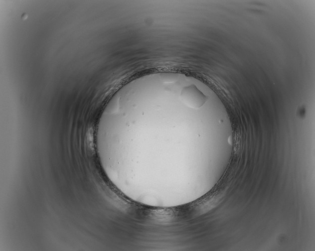 X0000090920238200707301100