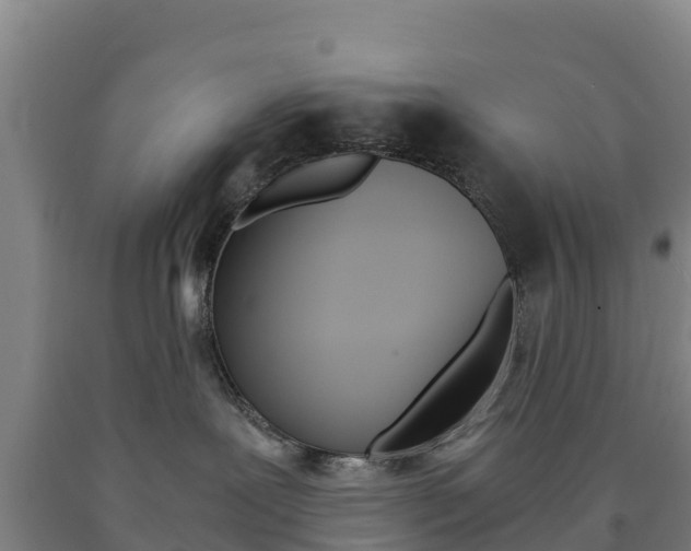 X0000090920239200707301100