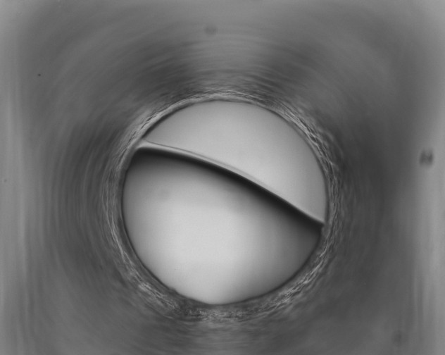 X0000090920241200707301100