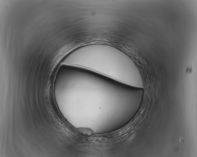 X0000090920242200707301100