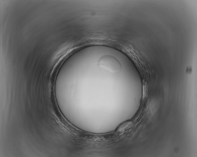 X0000090920243200707301100