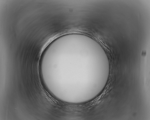 X0000090920244200707301100