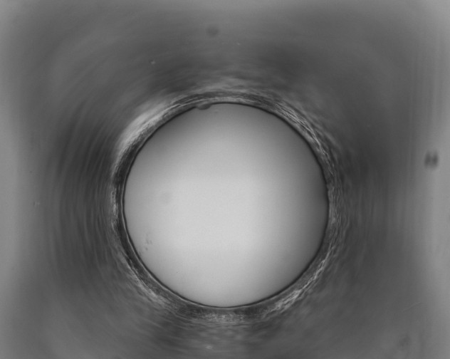 X0000090920245200707301100