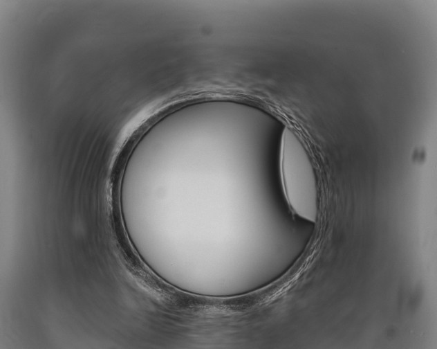 X0000090920246200707301100