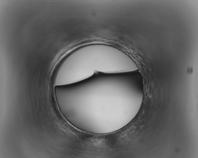 X0000090920247200707301100