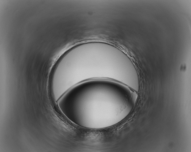 X0000090920248200707301100