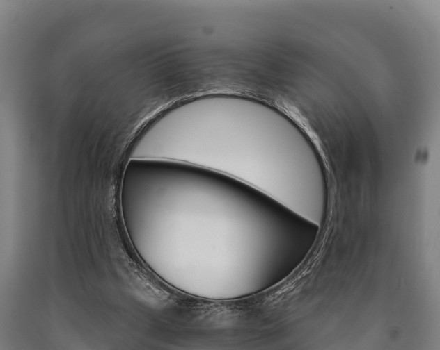 X0000090920249200707301100