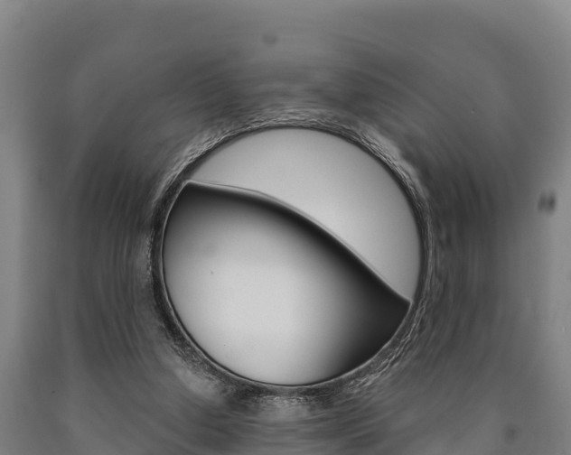 X0000090920250200707301100