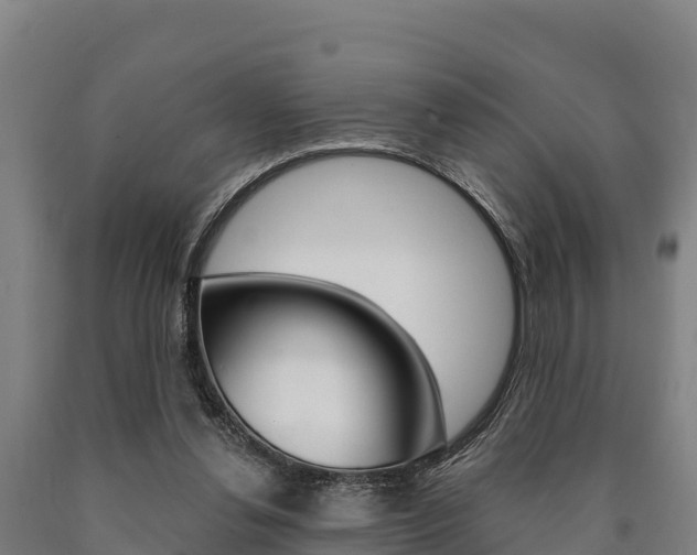 X0000090920252200707301100