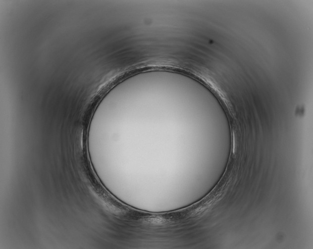 X0000090920253200707301100