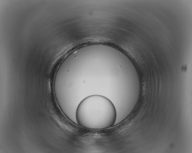 X0000090920254200707301100