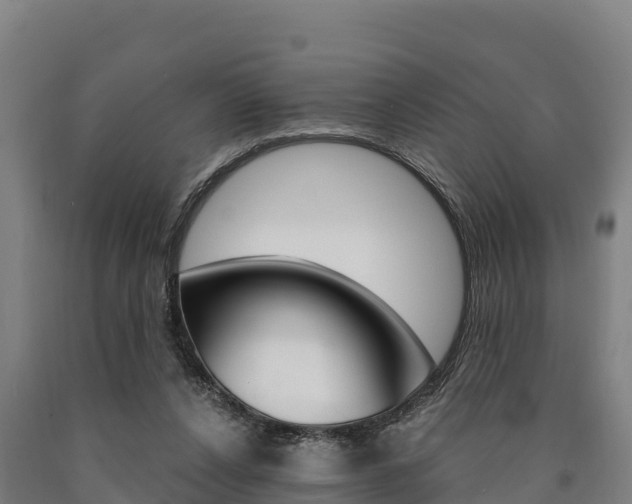 X0000090920256200707301100