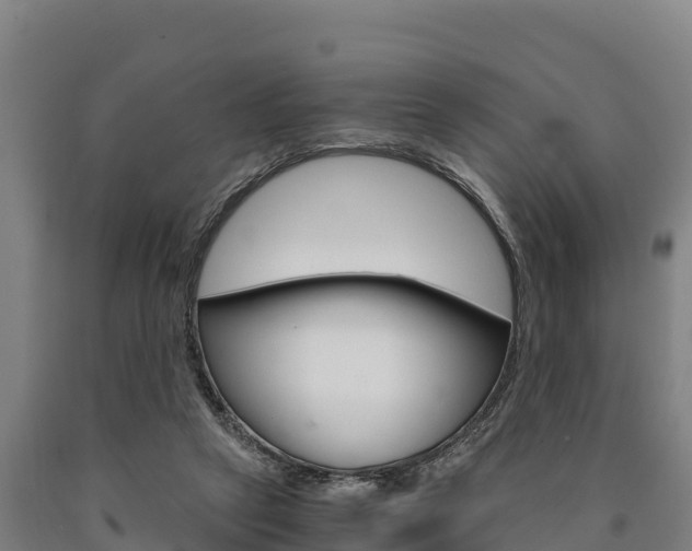 X0000090920257200707301100