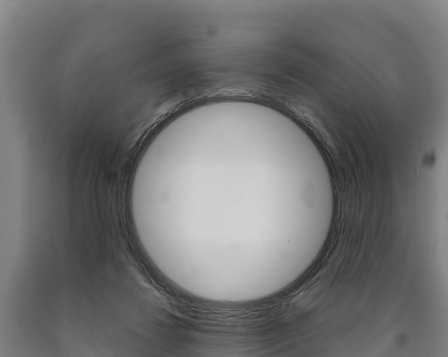 X0000090920260200707301100