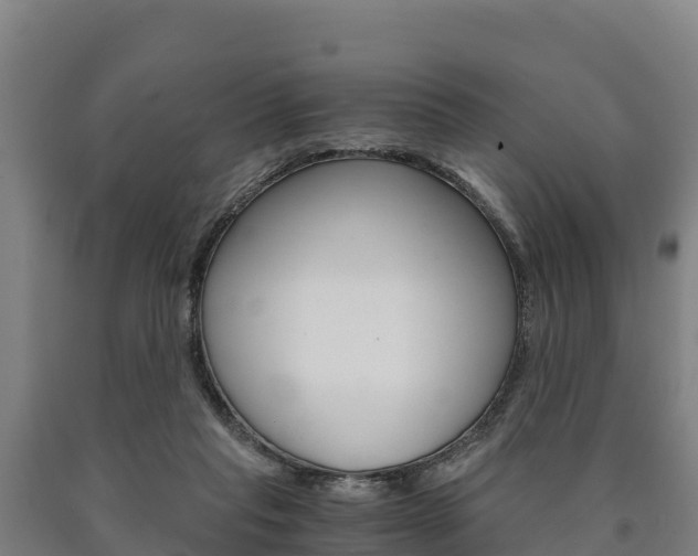 X0000090920261200707301100
