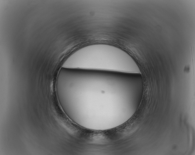 X0000090920262200707301100