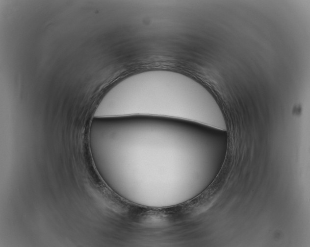 X0000090920263200707301100