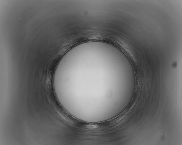 X0000090920265200707301100