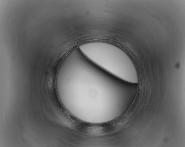 X0000090920266200707301100