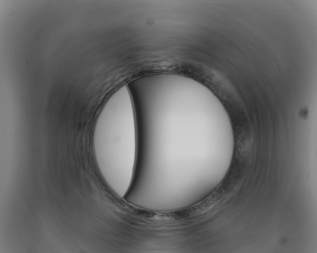 X0000090920270200707301100