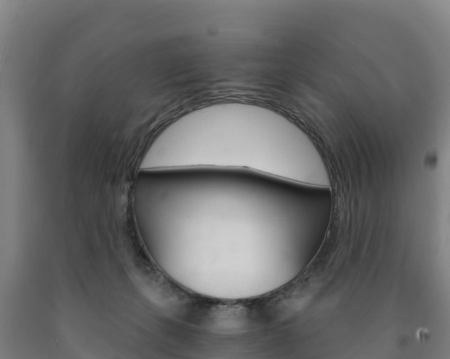 X0000090920271200707301100