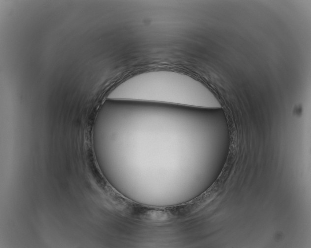 X0000090920272200707301100