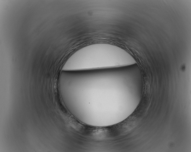 X0000090920274200707301100