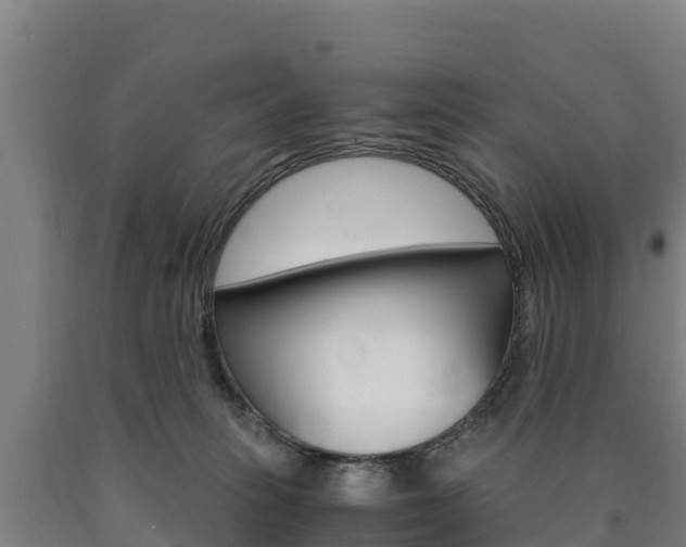 X0000090920275200707301100