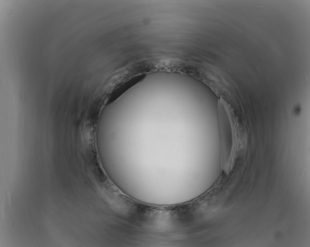 X0000090920276200707301100