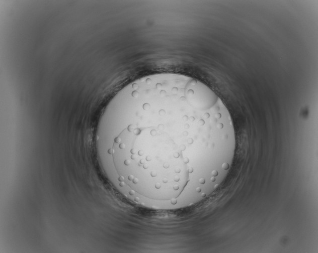 X0000090920278200707301100
