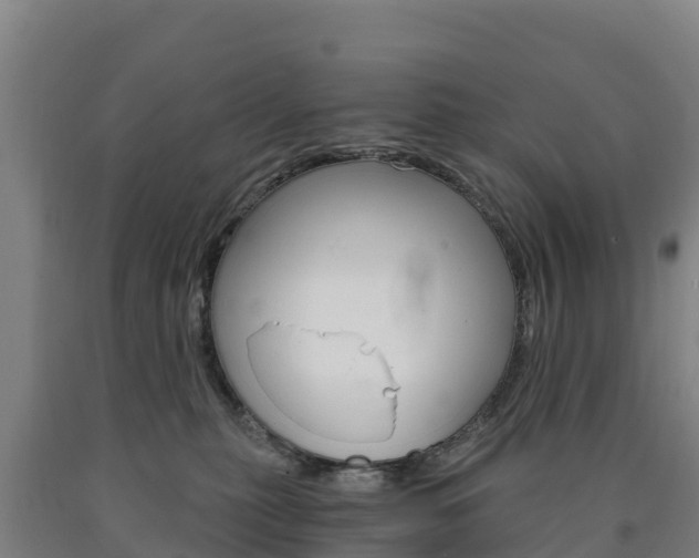 X0000090920279200707301100