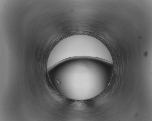 X0000090920280200707301100