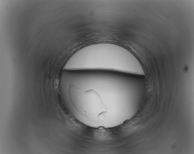 X0000090920281200707301100