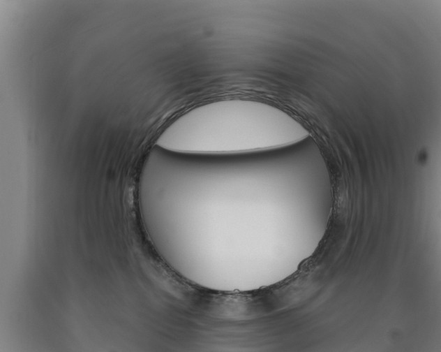 X0000090920282200707301100