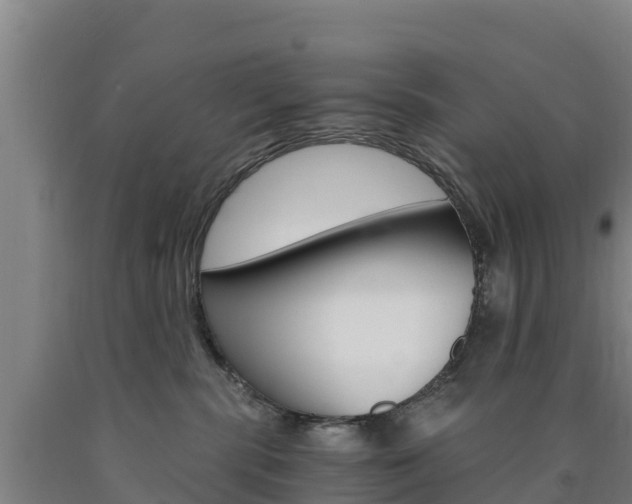X0000090920283200707301100