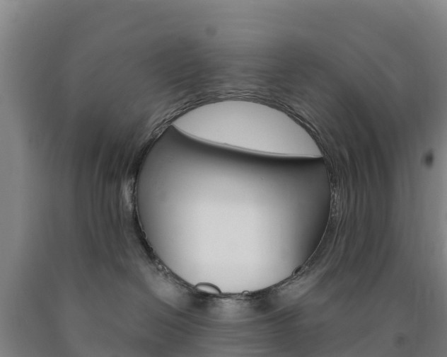 X0000090920286200707301100