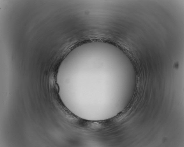 X0000090920287200707301100