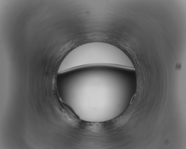 X0000090920288200707301100