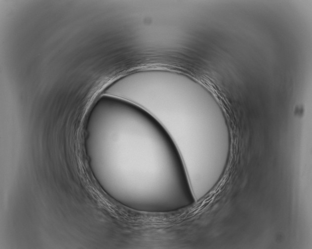 X0000090920289200707301100