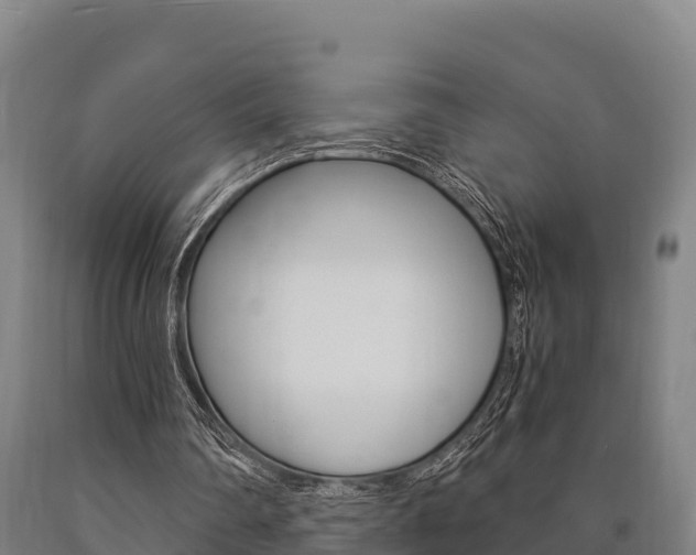 X0000090920290200707301100