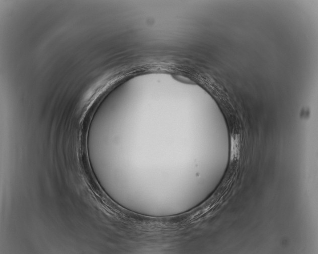 X0000090920291200707301100