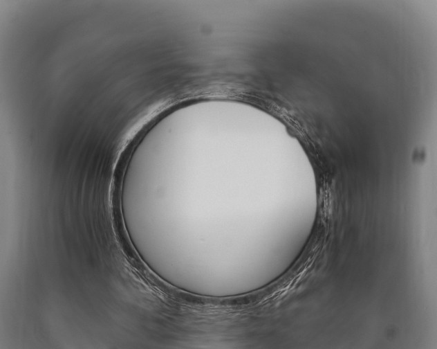 X0000090920292200707301100
