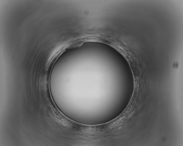 X0000090920293200707301100