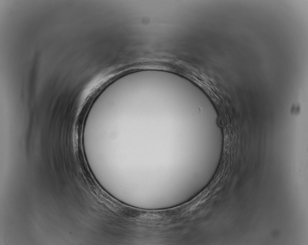X0000090920294200707301100