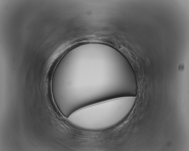 X0000090920295200707301100